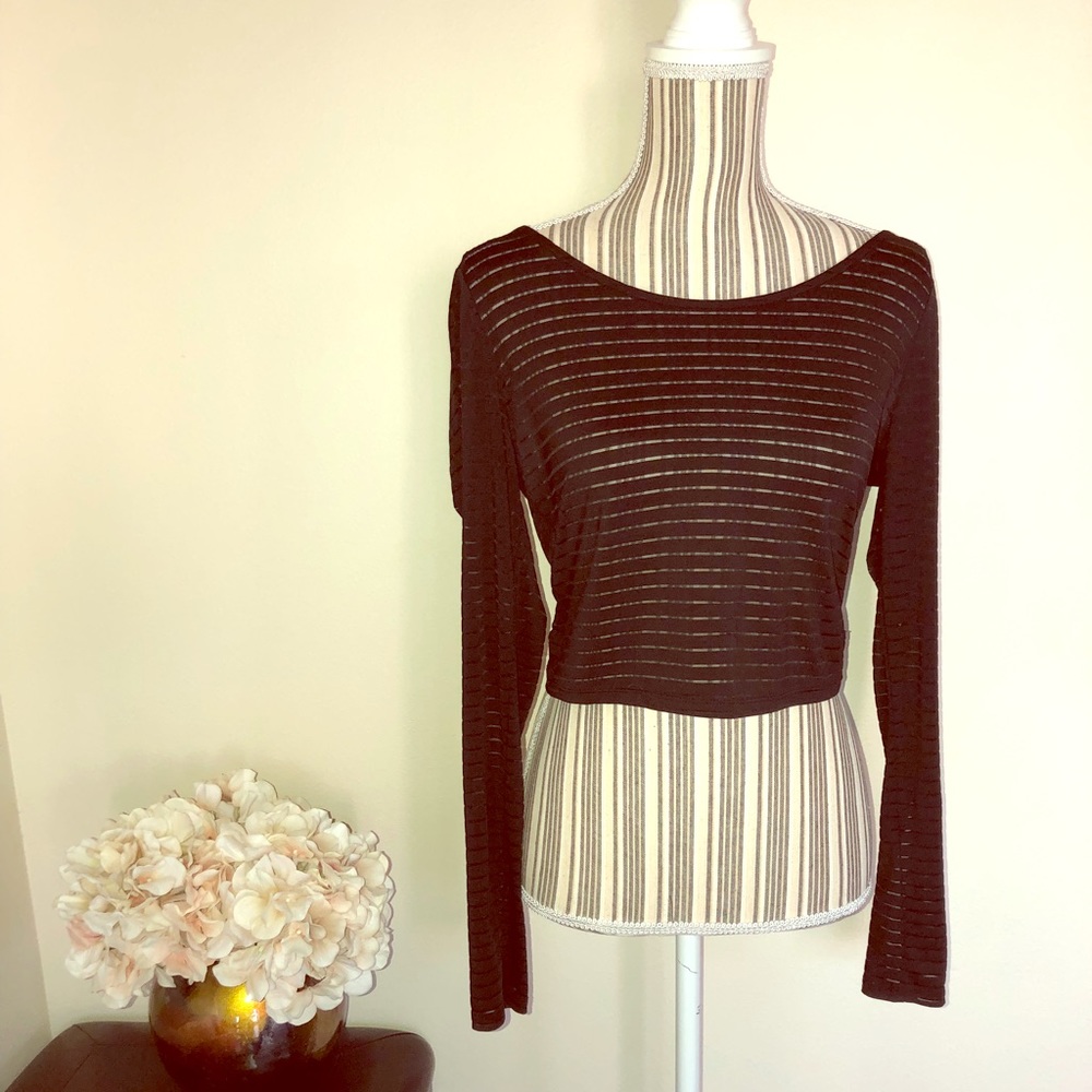 Sheer Black Crop Top